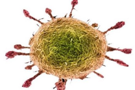 ANNOUNCEMENT BY HEALTH ALERT: CORONAVIRUS COVID 19
